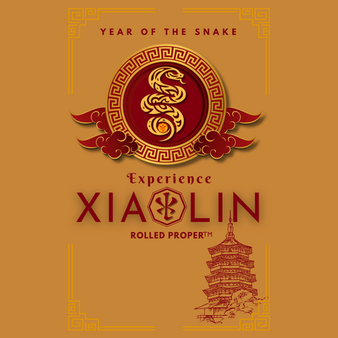 Celebrating 2025: The Year of the Snake