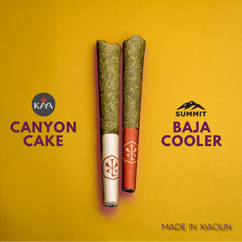 Bambino 2 Pack - Canyon Cake // Baja Cooler