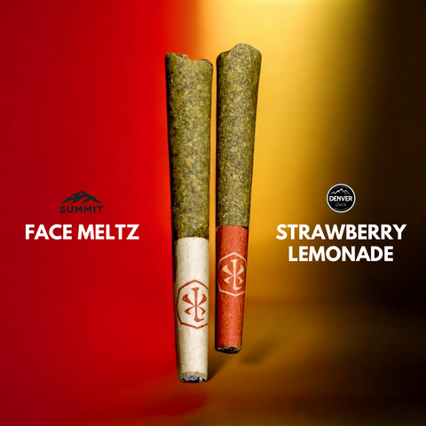 Bambino 2 Pack - Face Meltz // Strawberry Lemonade