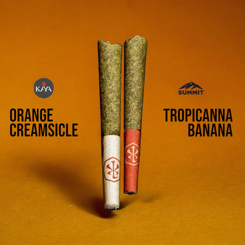 Bambino 2 Pack - Orange Creamsicle // Tropicanna Banana